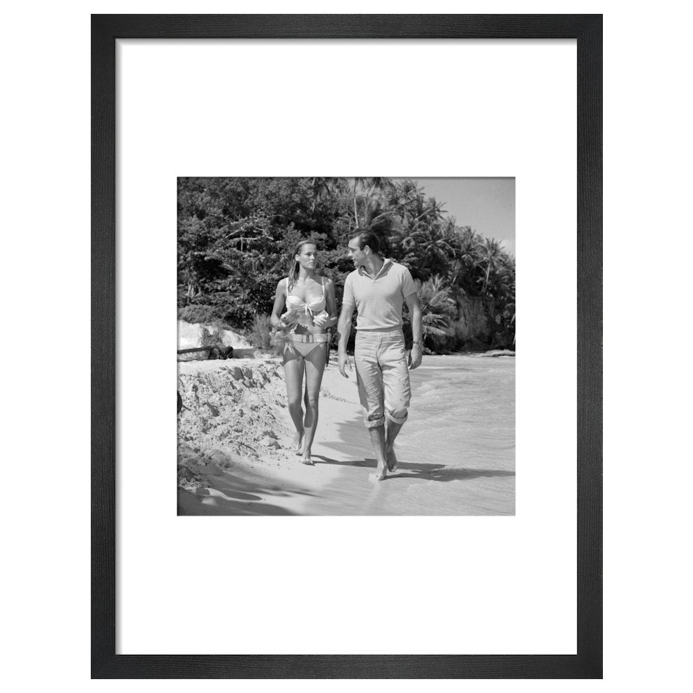 James Bond Dr. No Laughing Waters Film Still Framed Art Print - By King & McGaw 007Store