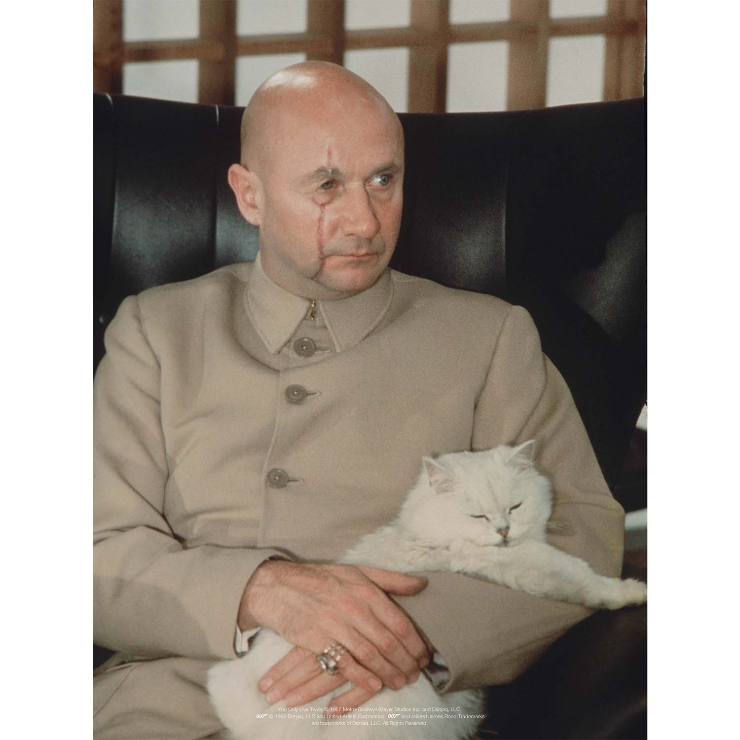 "The Stavro" James Bond Socks - By The London Sock Exchange 007Store